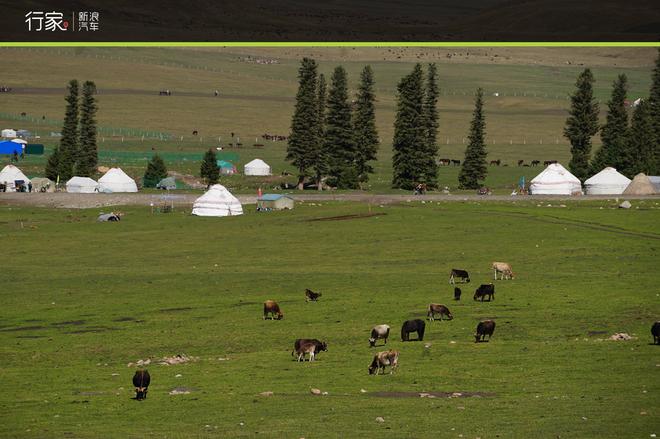 行家：重走丝绸之路 大美新疆自驾之旅