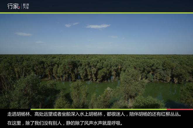 行家：重走丝绸之路 大美新疆自驾之旅