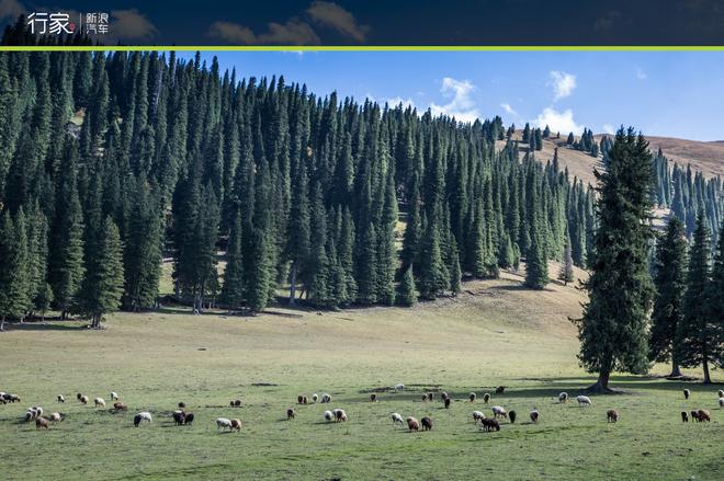 行家：重走丝绸之路 大美新疆自驾之旅