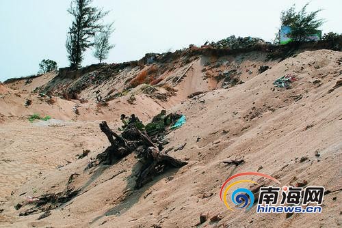 严打非法采矿,非法占用农用地,盗伐滥伐等多发性破坏生态环境的违法