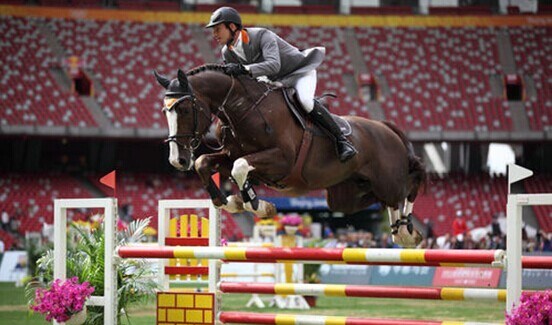 马术比赛的关系障碍设计