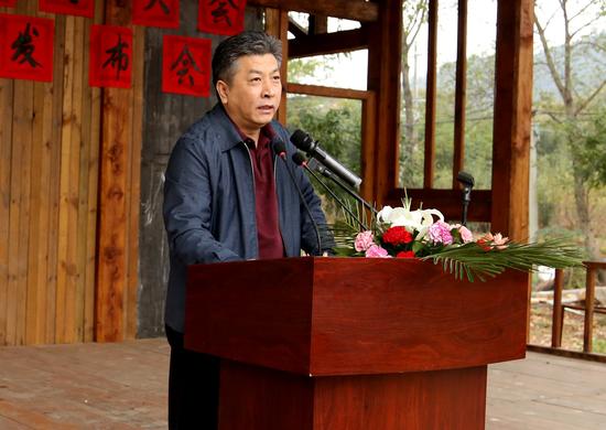 湖北省发展战略规划办公室副主任徐新桥发言