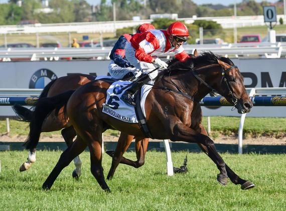 澳大利亚考菲尔德杯冠军赛驹—蒙古可汗