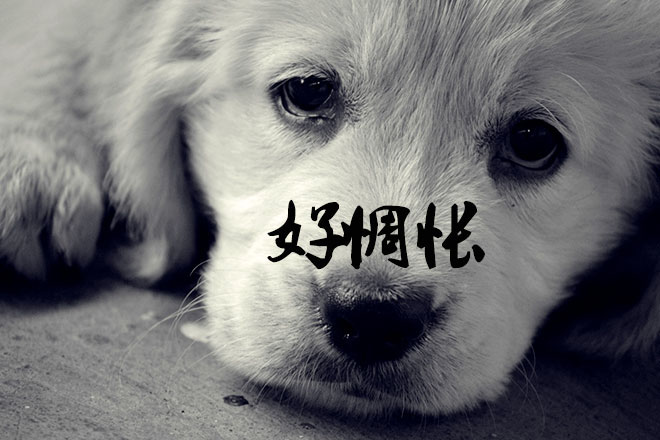 万圣节不装饰一下爱车能出门吗？