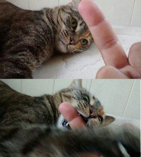 那是我最后一次伸出中指。