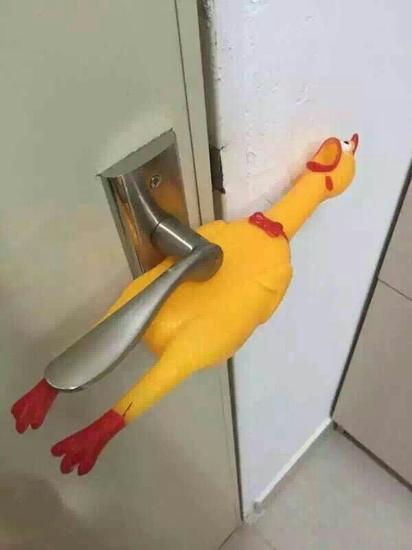 尖叫鸡这个会吓坏小偷吧！