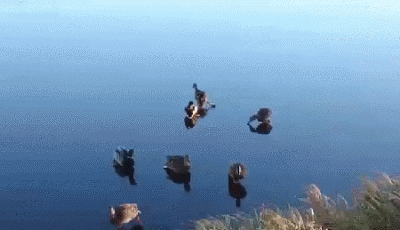 这明显是来自南方的车主