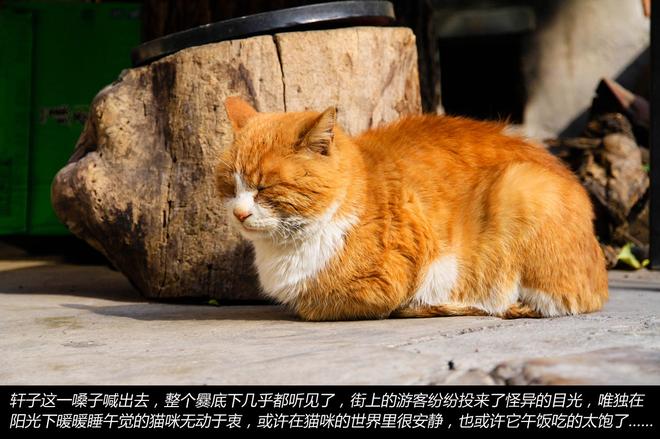 秋末冬至 驾三车探秘京郊古村落