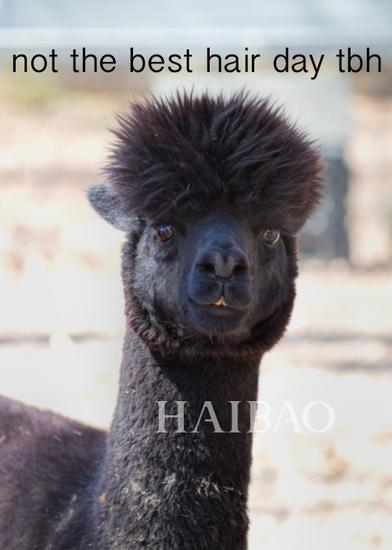 避免剧烈运动后,发型变成炸毛怪