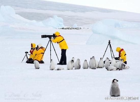 拍我！拍我！拍我！