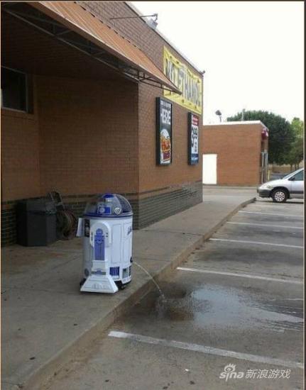 这是干嘛的，给小动物喂水的么……