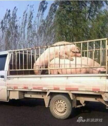 《刑场上的婚礼》