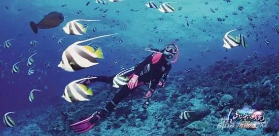 九州嘉年华地点曝光