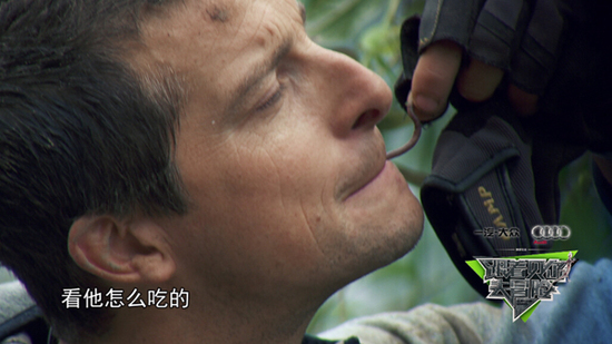 那些为节目吃虫子的明星们:胃还好吗