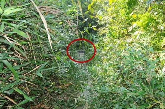 男子忍受妻子出轨13年后爆发 杀妻后分尸抛尸