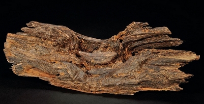 沉香是天然药材和香料 一寸沉香一寸金