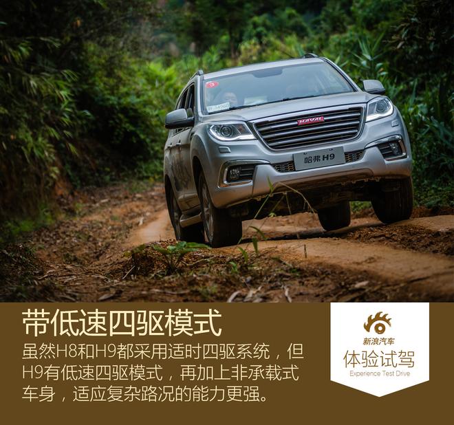 感受当地风土人情 哈弗H8/H9雨林之旅