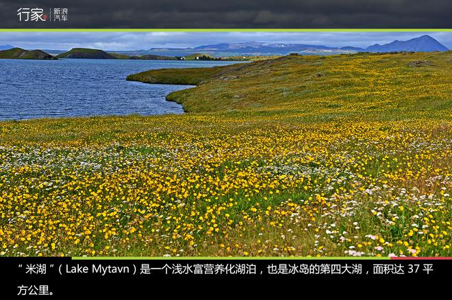 行家：环游冰岛D3 阿克雷里到博尔加峡湾