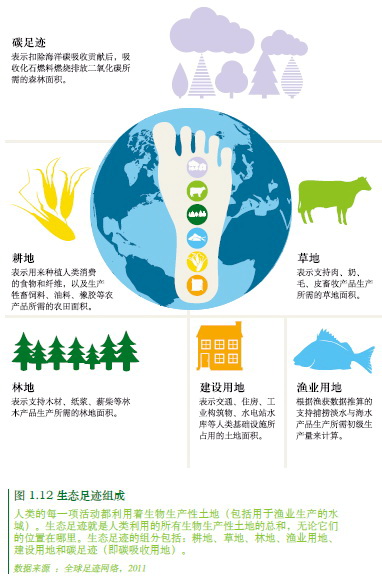 人类的生态足迹已超出了地球生物承载力.