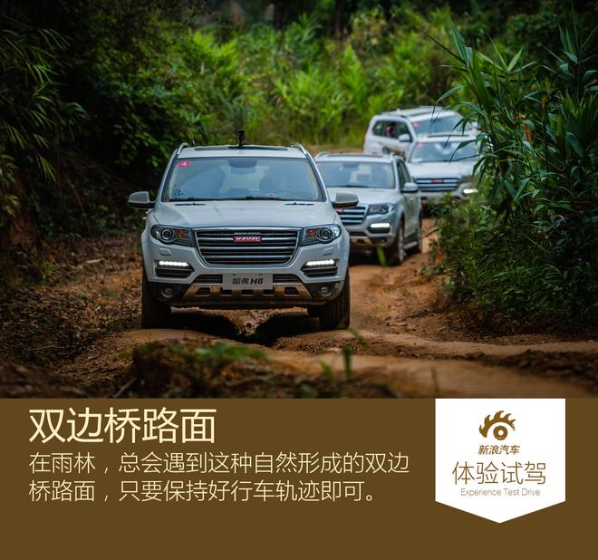 感受当地风土人情 哈弗H8/H9雨林之旅