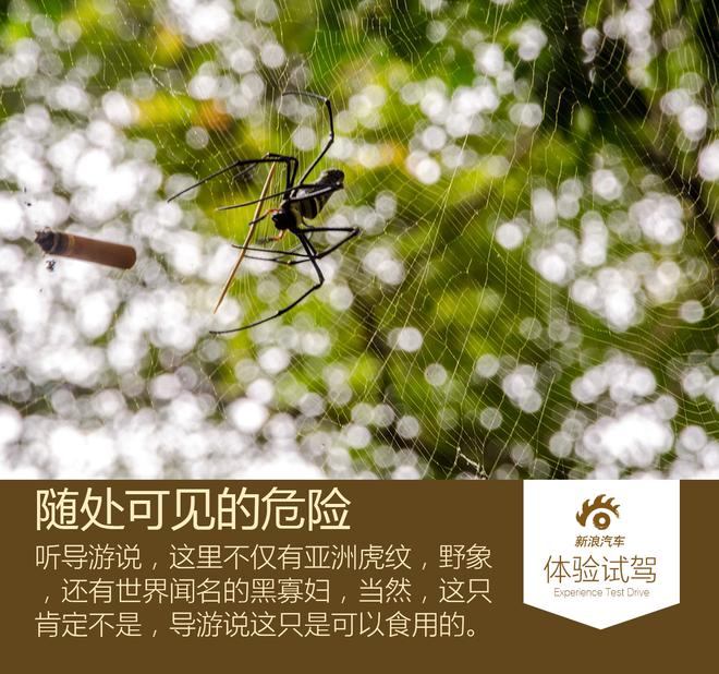 感受当地风土人情 哈弗H8/H9雨林之旅