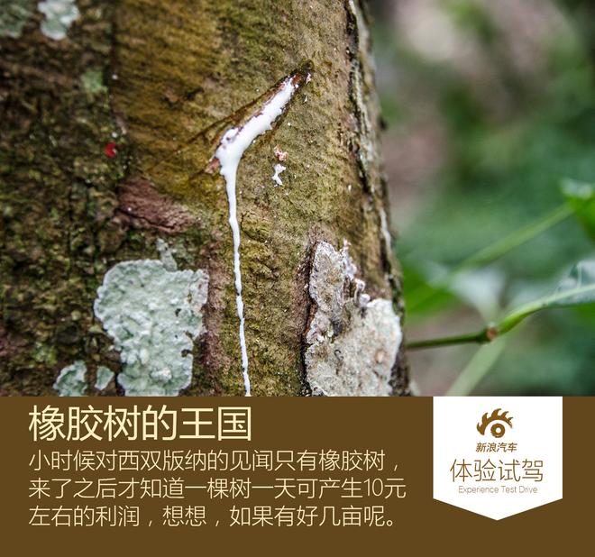 感受当地风土人情 哈弗H8/H9雨林之旅