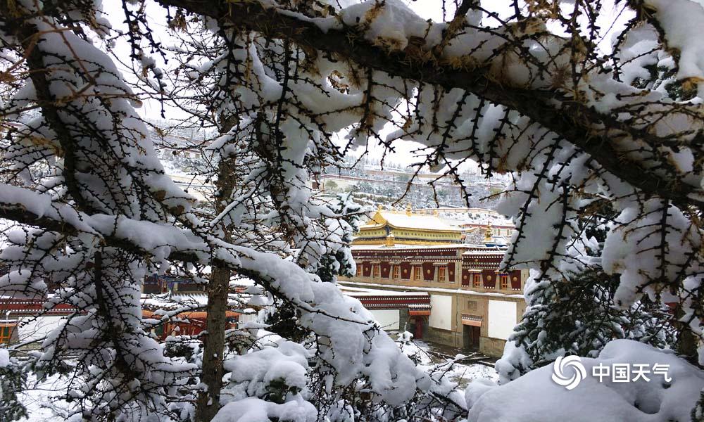 雪后的塔尔寺古风古韵宛如画卷