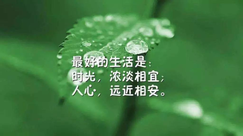 人生感悟经典句子句句触动人心