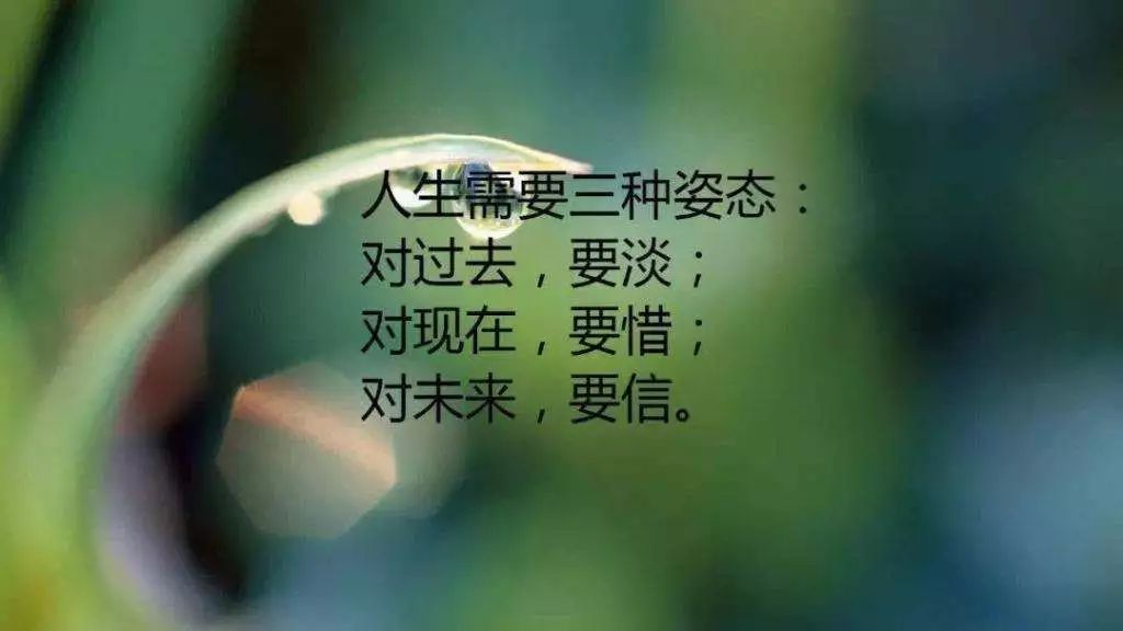 人生感悟经典句子句句触动人心