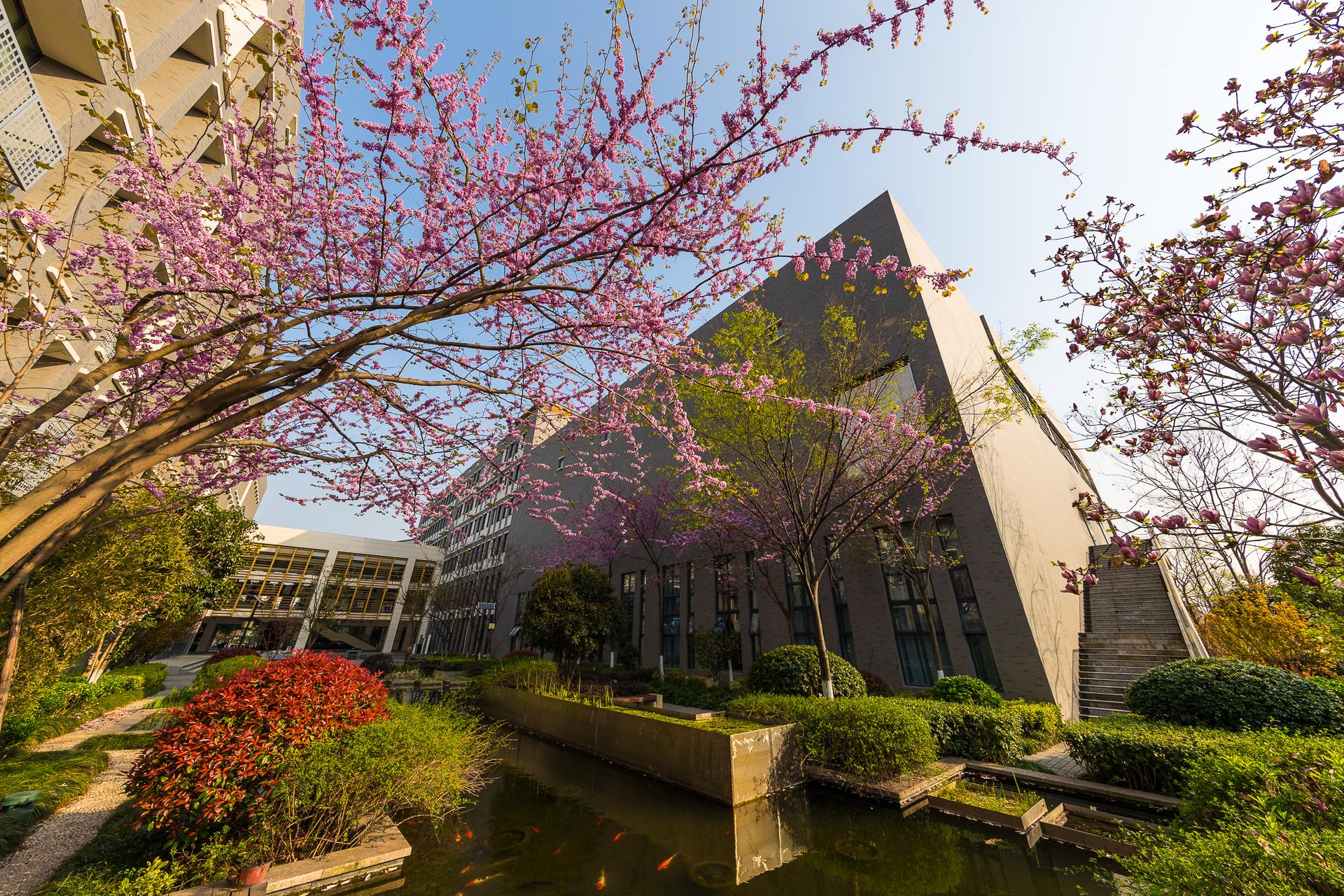 南京市中华中学: 打造高质量的成长空间