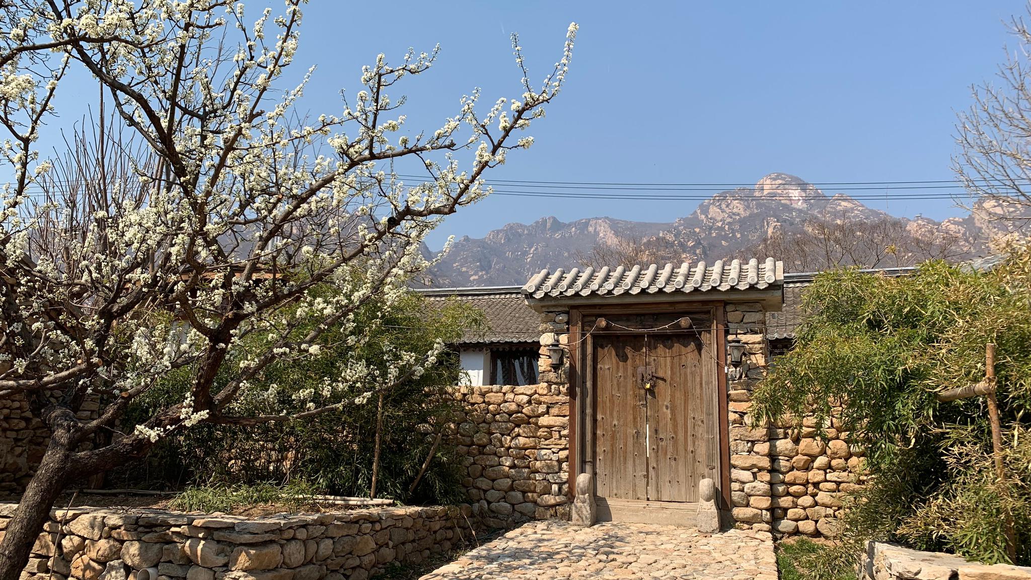 因为远离城区,又在山间,黑山寺村格外安静,除了村民开着农用三轮车在