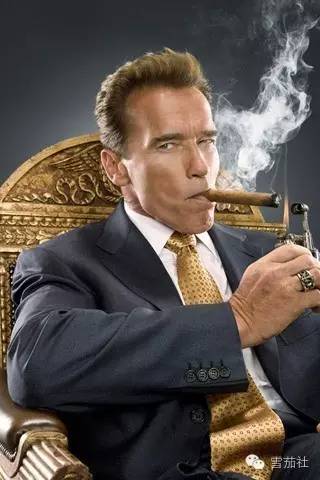 施瓦辛格雪茄不离口 硬汉抽雪茄有独到见解