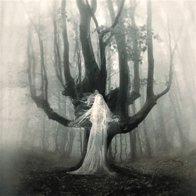 "活死人"也影响了摄影艺术.