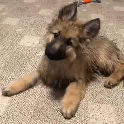 娃娃脸配大耳朵,真的超帅气哦!