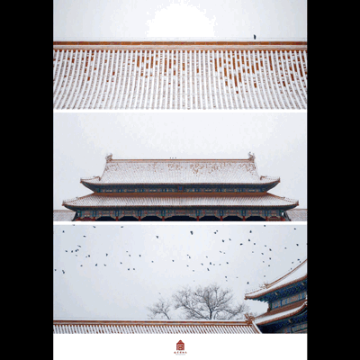 一下雪北京变成了北平 故宫变成了“动物园” 图/故宫博物院官方微博截图