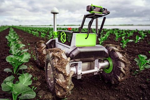 被誉为除草能手的机器人,从不停止工作