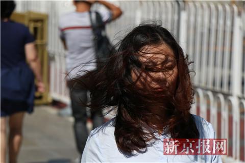 游客在大风中游览故宫.潘家园一名路人在风中打电话.