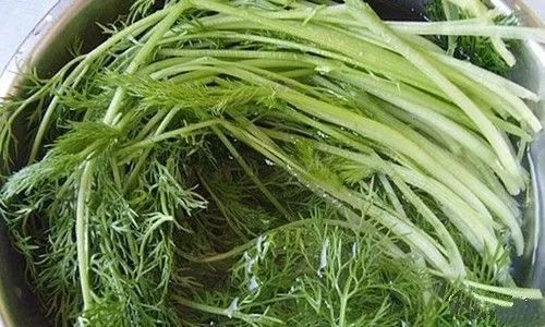 它是绿叶蔬菜第一名,末伏吃它,养阳驱寒,还是胃病克星!