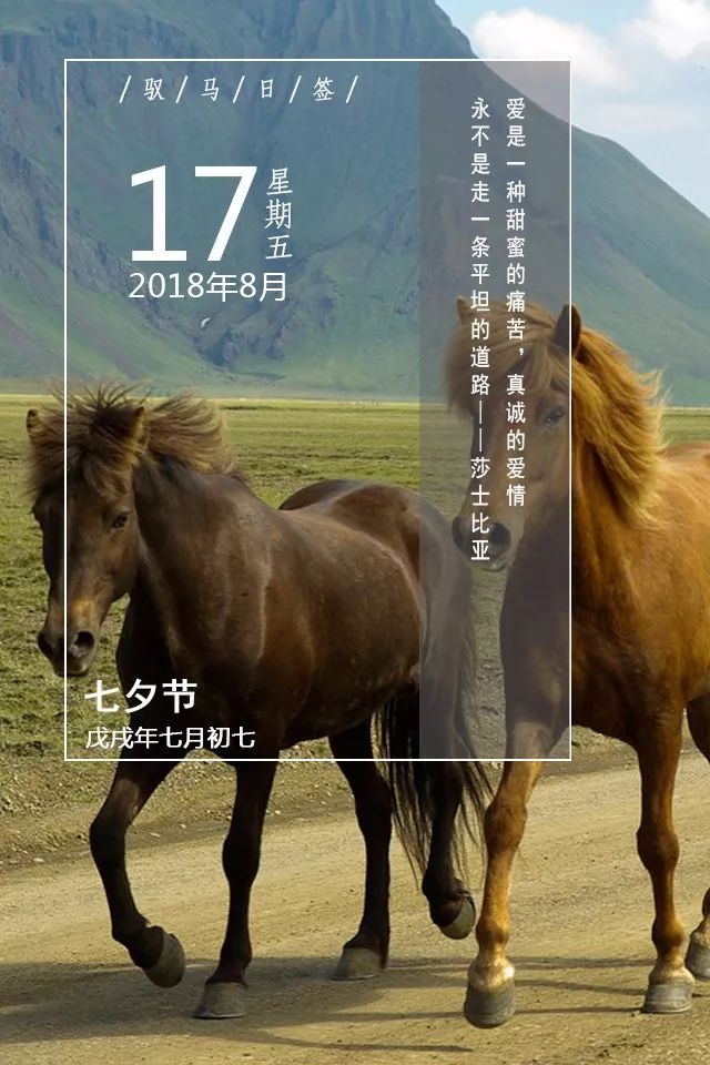 【驭马日签】爱是一种甜蜜的痛苦,真诚的爱情