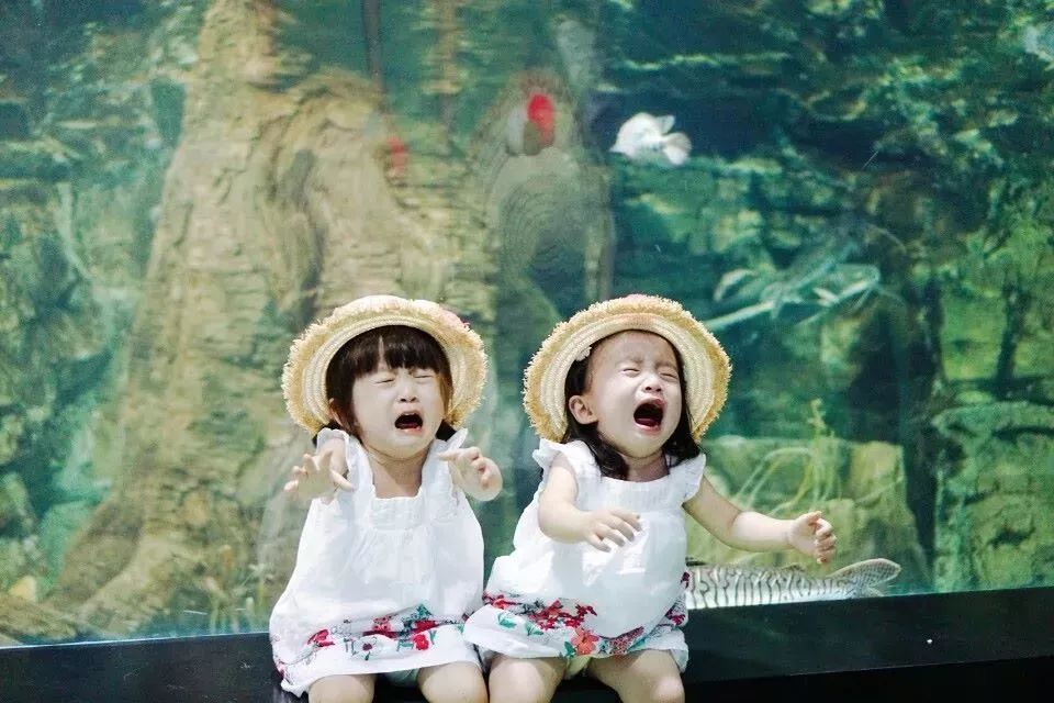 这辈子生个女儿就完美了