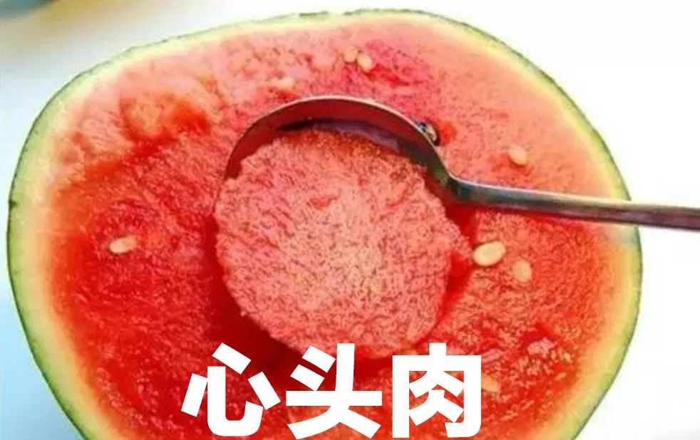 从此它,就变成了我的心头肉757575从此它就变成了我的生命之源