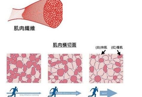 这一杯至少胖10斤吧