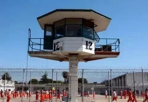 老干妈和马应龙是如何控制美国监狱的?