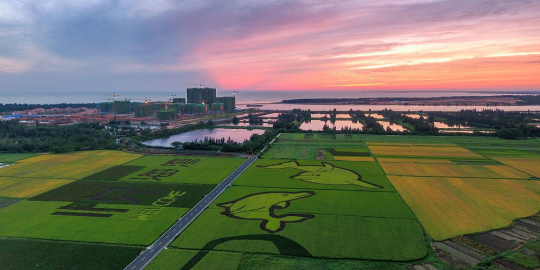 富力地产将企业经营与社会责任有机结合 创造更多社会价值