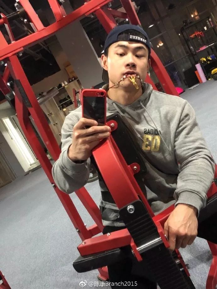 康神|陈康|健美_新浪新闻