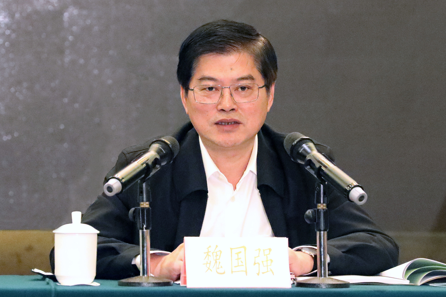 魏国强出席人大代表与三农专家对接会