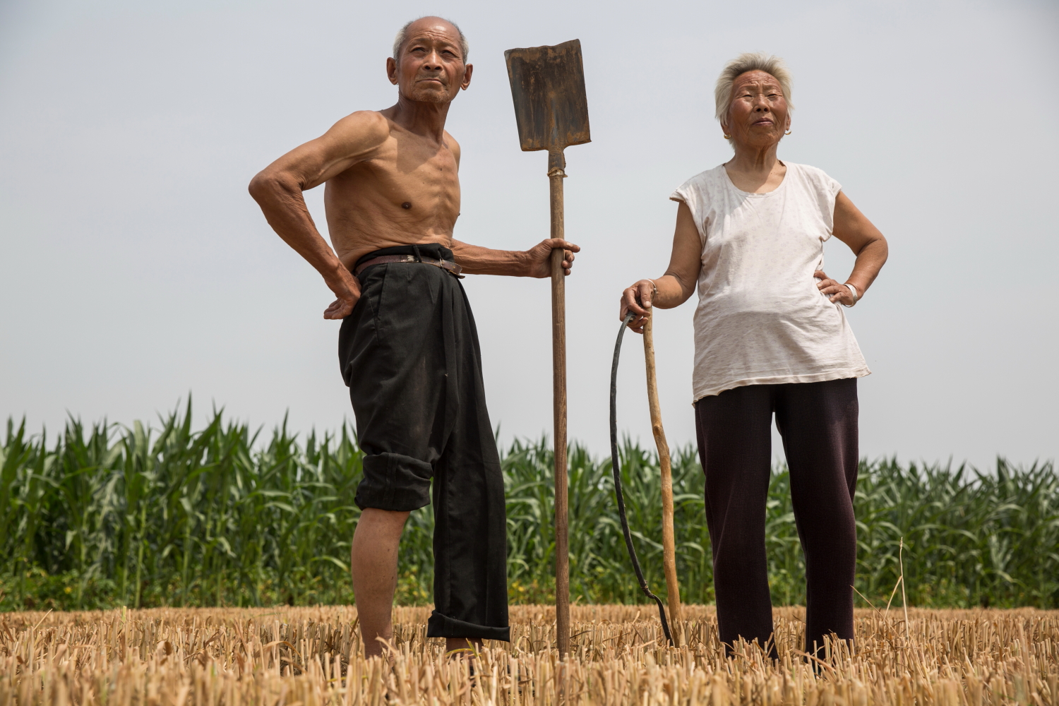 2016年6月，刘磊为自己的爷爷和奶奶在田间拍了一张照片。他们一生与土地打交道，还养着十几只山羊。受访者供图