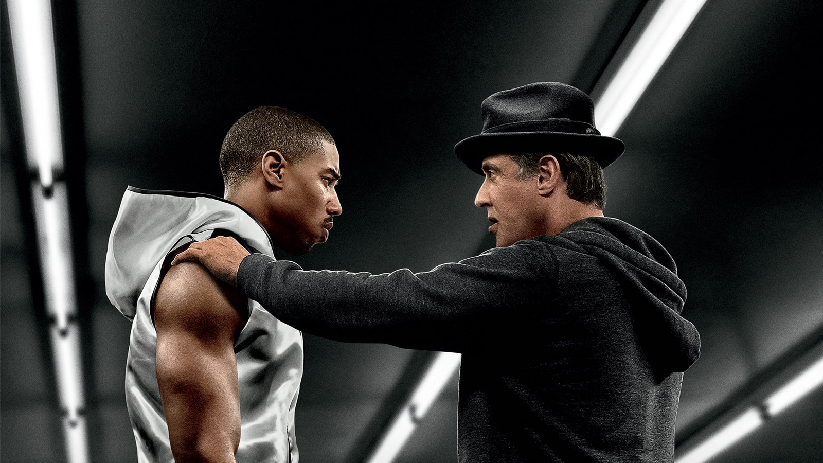 电影奎迪2正式开拍