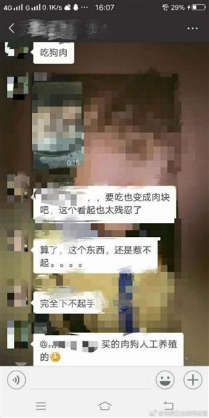 四川城管队员微信群转发“烹狗”视频被停职 舆论两极化