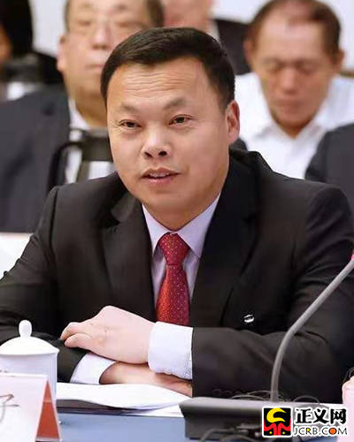 全国人大代表,河南省宝丰县赵庄镇大黄村党支部书记马豹子正义网北京3